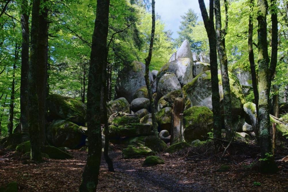 Die Gnterfelsen bei Furtwangen  W. Fechner