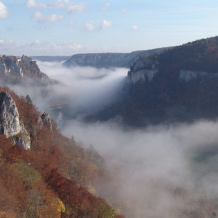 Blick vom Eichelfelsen  NP Obere Donau