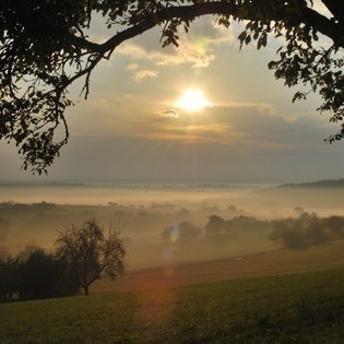 Landschaft im Neckartal  H. Staab/ VDN