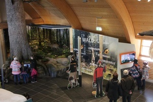 Blick in die neue "Forst-Ecke" im Haus der Natur  NAZ Sdschwarzwald