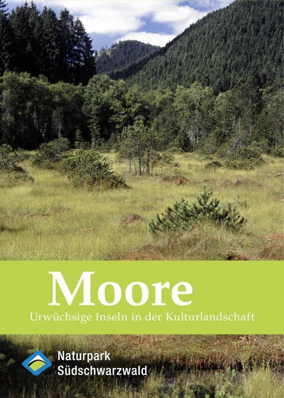 Broschre "Moore"