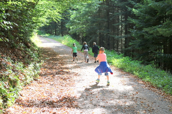 Gemeinsam macht Geocachen noch mehr Spa!  Tourist-Information Freiamt