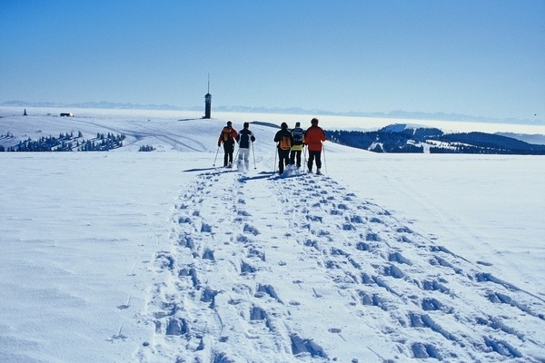 Gefhrte Schneeschuhtouren im Naturschutzgebiet  NAZ Sdschwarzwald