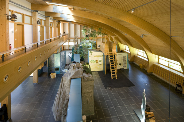 Blick ins Haus der Natur und seine Dauerausstellung  Jrgen Gocke