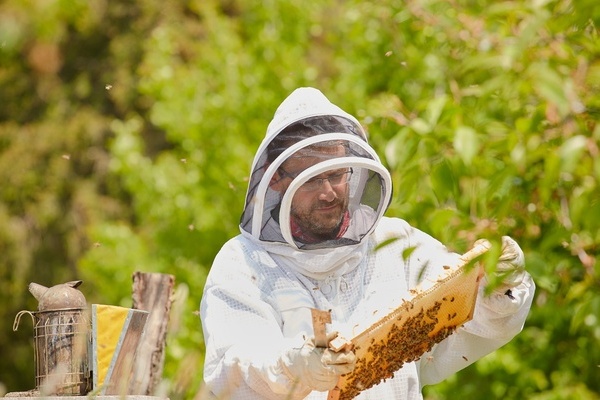 Ansgar Barth beim Imkern  Barth's Hsli